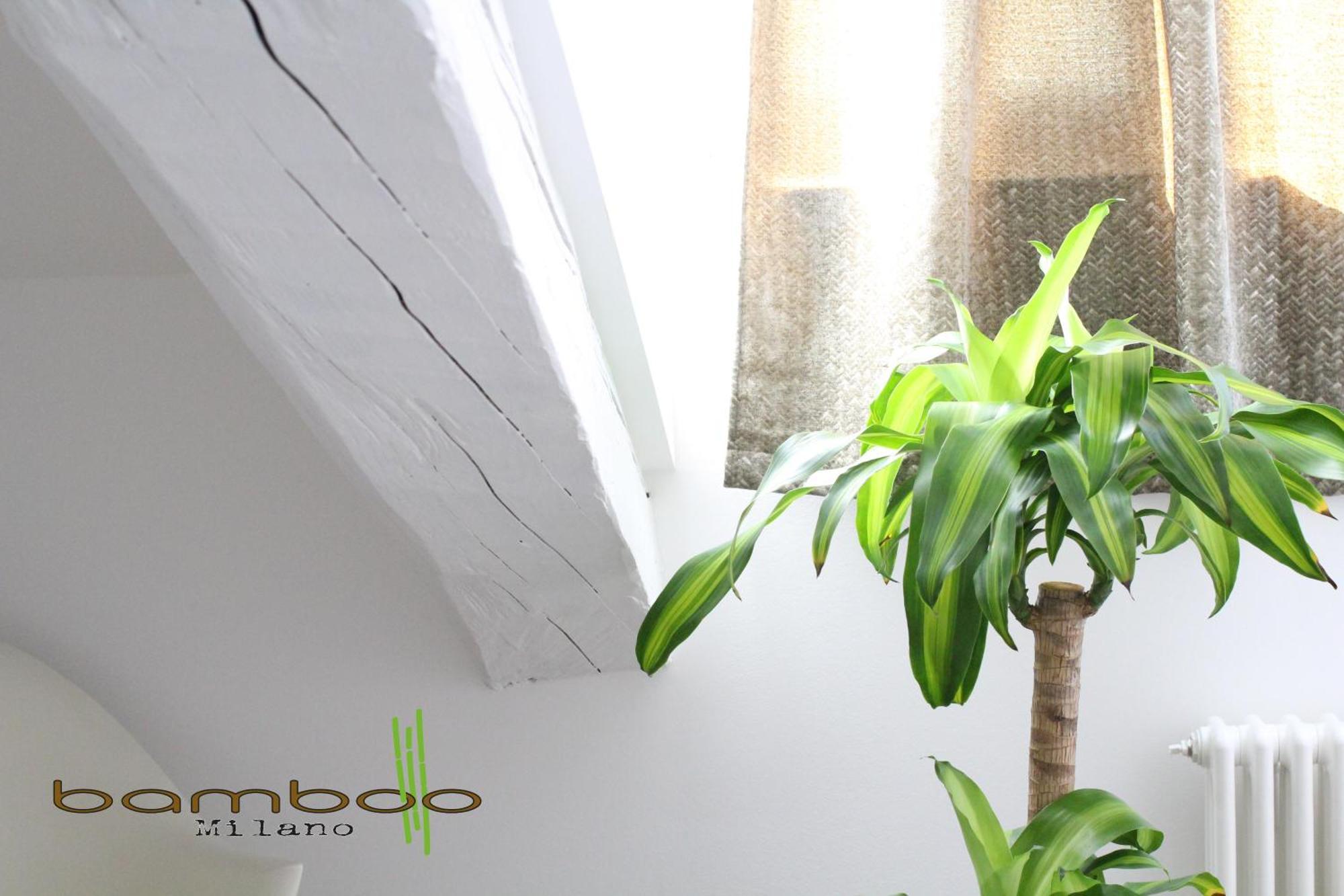 Bamboo Milano Isonzo Apartment ภายนอก รูปภาพ